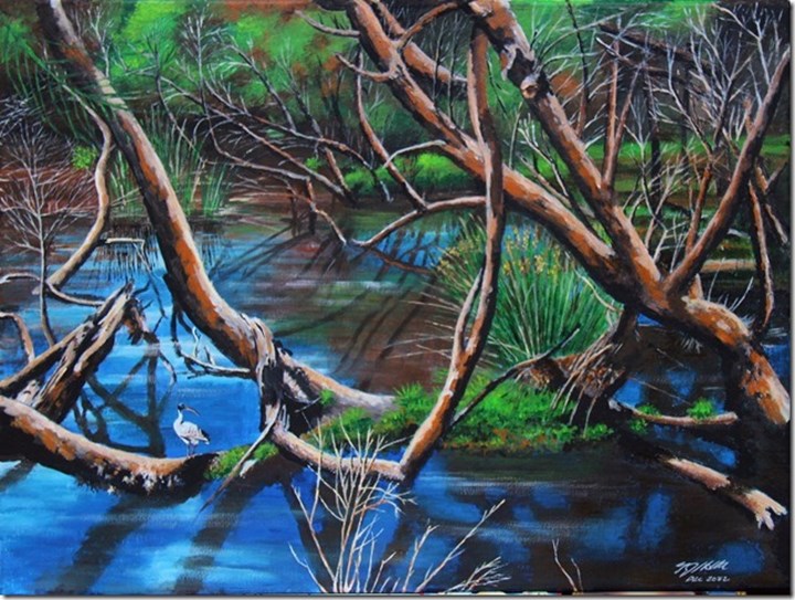 “Canning Wetlands 3” Kent Street Weir